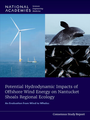 cover image of Potential Hydrodynamic Impacts of Offshore Wind Energy on Nantucket Shoals Regional Ecology